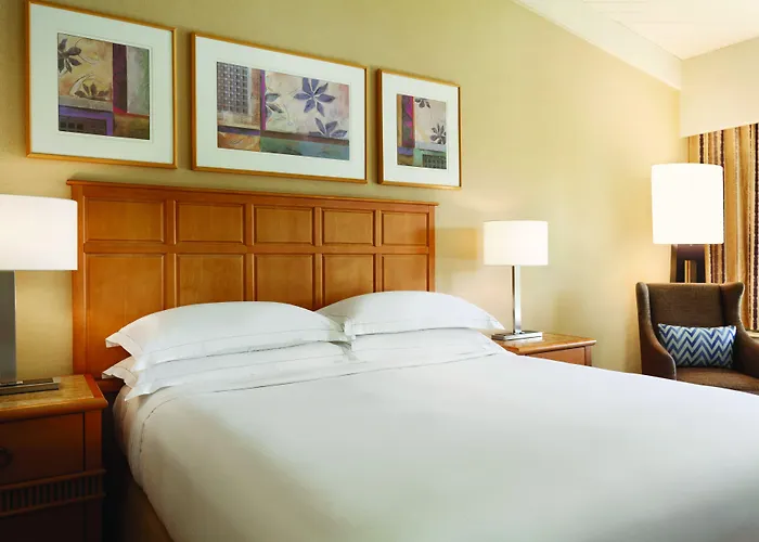 Hilton & Resort 4*