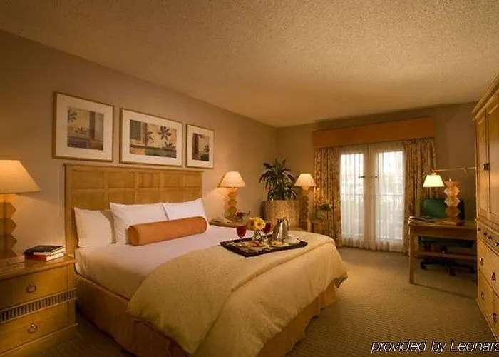Resort Hilton &